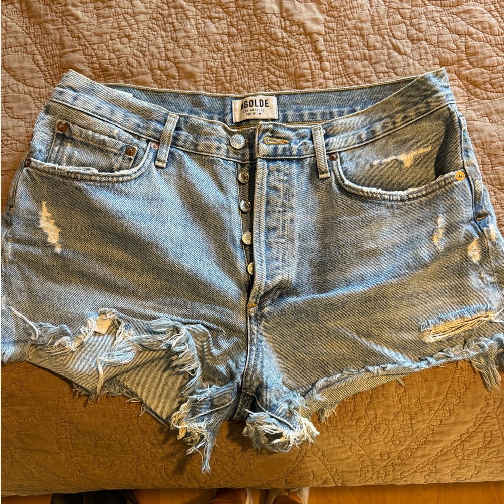 AGOLDE Parker Vintage Cut Off Short